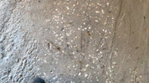 Шлифовка бетонного пола РЕМОНТ  ГАРАЖА