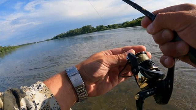 ТАЙМЕНЬ с ХОДУ атакует блесну ! смотреть онлайн