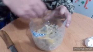 Я В ШОКЕ МОРЕ ОПАРЫША ИЗ ЯЙЦА. I'M SHOCKED BY THE SEA OF THE EGG GARDEN.