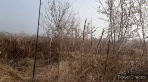 ЛОВЛЯ ЩЕГЛОВ И НЕ ТОЛЬКО??? 20.10.22.