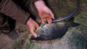 МИХАИЛ КАРЕПИН ФЛЕТ ФИДЕР В КРЫМУ ЛОВЛЯ КАРПА