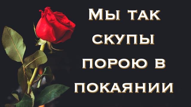 Мы так скупы порою в покаянии | Вероника Данюк | А жизнь, как роза: то цветет, то колется | Слова