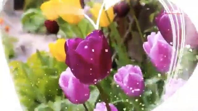 8-марта Поздравляю всех женщин и Мамы ???#8марта #8мартапоздравление #поздравление #поздравления
