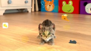 Маленький КОТЕНОК - Мини игры для кота #ПУРУМЧАТА