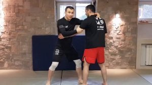 Удары, рывки в борьбе  Швунги Фали