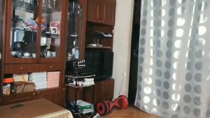 Светка и комары ган 13 наоборот