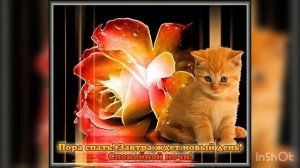 Спокойной ночи ? Приятных снов и хорошего отдыха ???