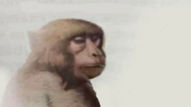 neuron activated смотреть онлайн