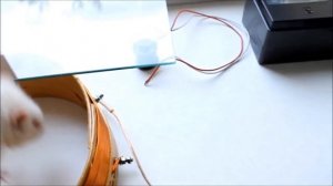 Воздействие электромагнитного импульса на биологический объект