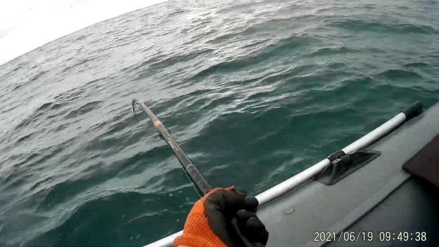 19 июня 2021 г. смотреть онлайн