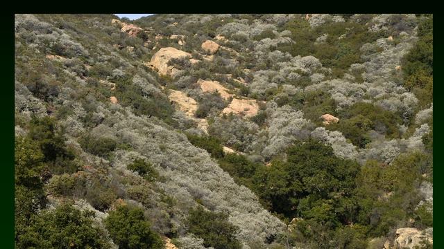 Biomes- Life on Land part 2 смотреть онлайн