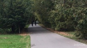 Куго М4 про против Куго М5