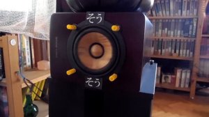 JVC sx wd9vnt wood cone speaker 5 Hz