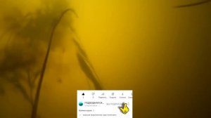 Подводная охота. ГДЕ ИСКАТЬ ЩУКУ в реке и озере начинающим подвохам. Ловля рыбы, рыбалка под водой