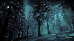 Слушайте приятные звуки зимнего ветра со снегом и наблюдайте за красивым ночным лесом