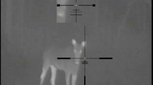 Moose pulsar apex xd 75 lrf