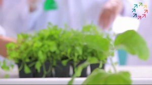 Производство биопрепаратов на примере компании "Вирам”