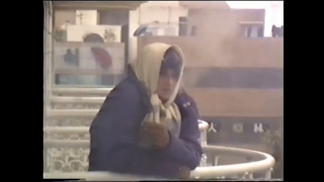 Пальмы в снегу. Корея.
