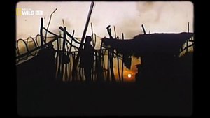 Дунай (серия 2) - Европейская Амазонка Леса,разливы,морозы