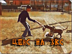 Цейс на ЗКС