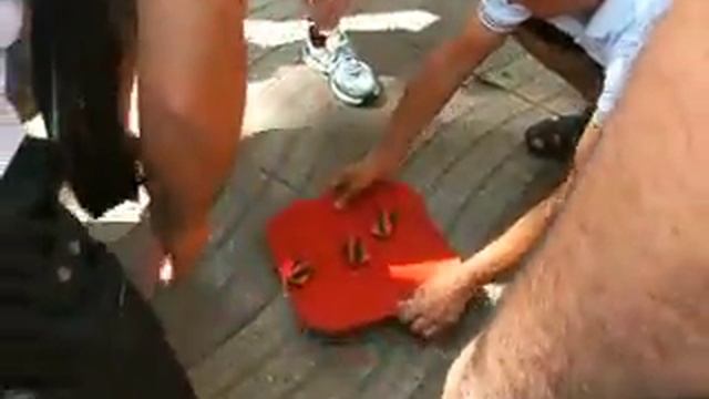 наперсточники в барселоне. Рамбла. Barcelona. La Rambla. Shell game. смотреть онлайн