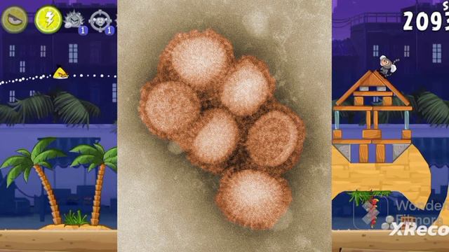 Почему-же свиньи из Angry birds зеленые? #angrybirds #bringback2012
