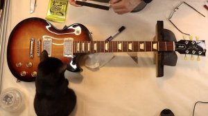 Gibson Les Paul 2010 or 2012 you decide! Set up and fret levelling, which is strange for a GIbson.)