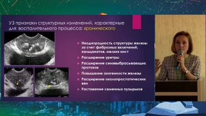 41  УЗИ предстательной железы – зачем мы делаем ЭТО   Полетаева Анна Борисовна