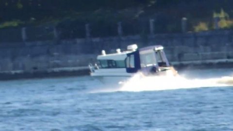 Круизный катер и Катера видео