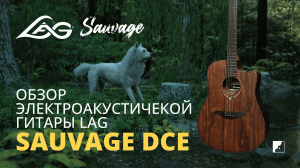 Обзор электроакустической гитары LAG SAUVAGE DCE