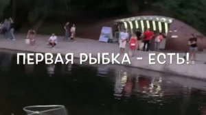 Лучший способ ловить Форель - на Живца.