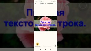 Урок. Как скопировать текст с картинки на Андроиде. (Про Айфон не знаю)