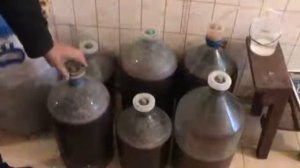 Изготовление виноградного вина в домашних условиях от Михаила Левадного