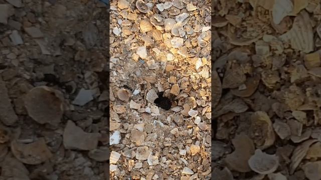 Путешествие на Автодоме к морю