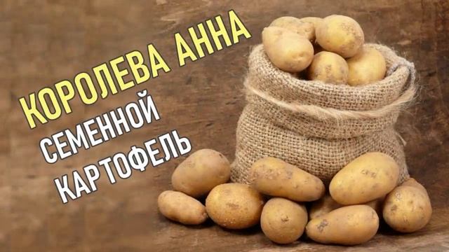 Купить Семенной Картофель Сорт Королева Анна
