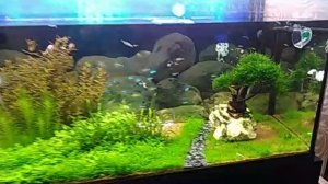 Аквариумный светильник 120 см Akvarium Svet & Cristal Water©.mp4