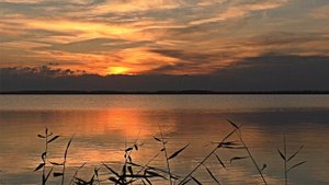 РЫБАЛКА НА ПОПЛАВОК. ПОКЛЕВКИ КРУПНЫМ ПЛАНОМ. РЫБАЛКА НА ЗАКАТЕ В ПОЛНЫЙ ШТИЛЬ. КАРАСЬ НА ПОПЛАВОК.