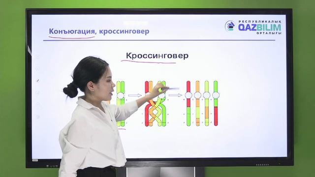 ҰБТ. БИОЛОГИЯ. Көбею және оның түрлері