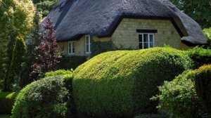 Красивые Дома с соломенной крышей в Англии