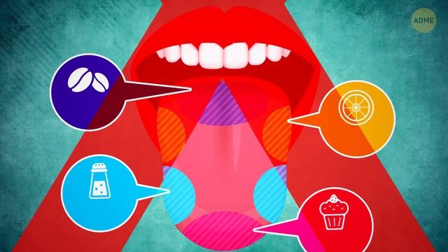 60 распространенных мифов, которые мы наконец проверили в Google