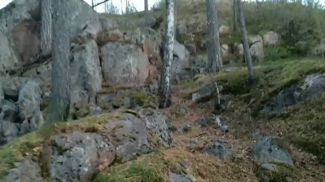 Карельский перешеек, Березовское озеро (29-30/09)