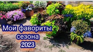 Цветочные композиции. Мои фавориты!