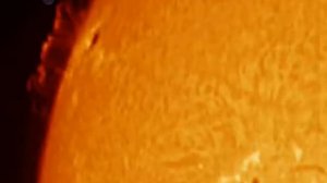 Sunspot Group no.1302