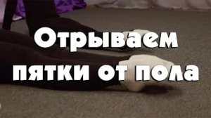 Отрываем пятки от пола