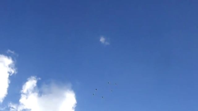 польские типлеры смотреть онлайн