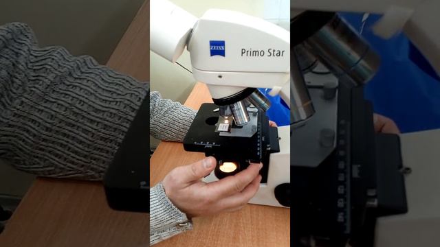 Микроскоп смотреть онлайн