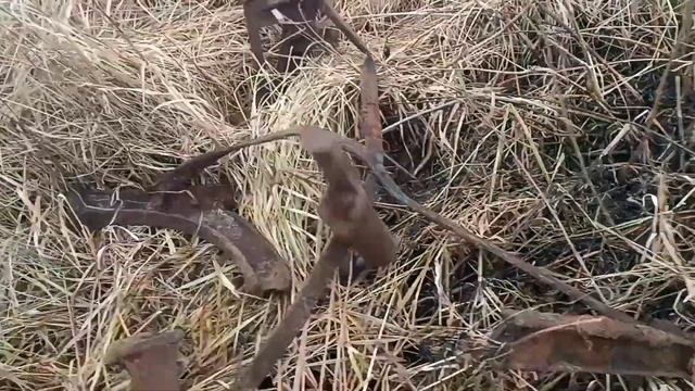 бонусы и поломка на металлокопе смотреть онлайн