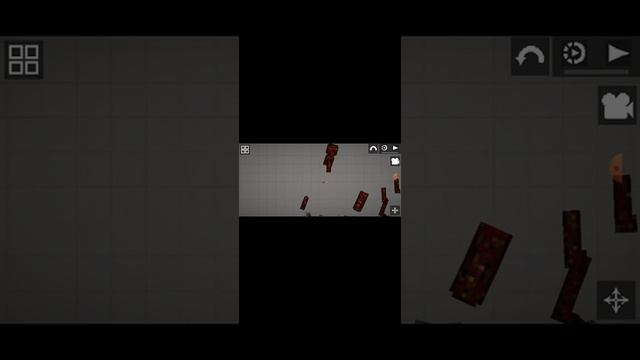 эксперимент 1006