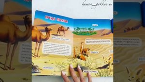 Видеообзор книги Чей дом саванна и пустыня