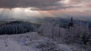 Последняя любовь Рада Рай,